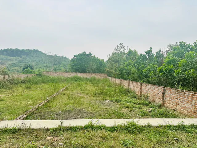 Bất động sản tại Phú Thọ - ảnh 1