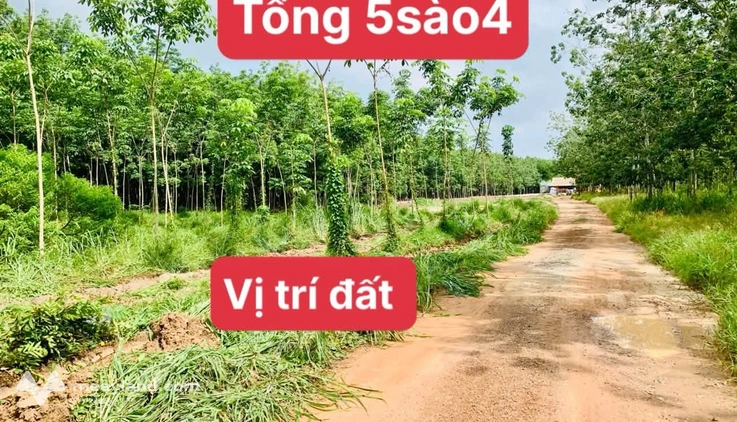 Bất động sản tại Bình Dương - ảnh 1