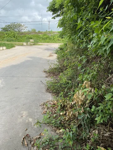 Bất động sản tại Bắc Ninh - ảnh 1