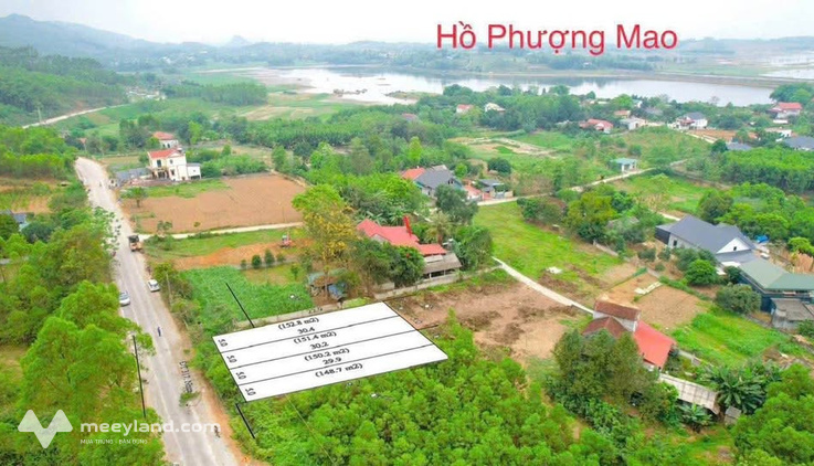 Bất động sản tại Phú Thọ - ảnh 1