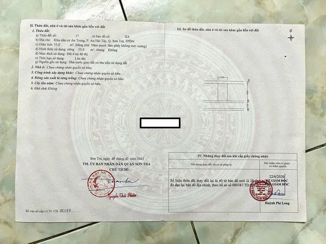 Bất động sản tại Đà Nẵng - ảnh 1