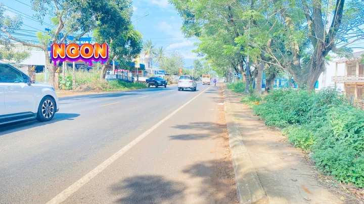 Bất động sản tại Lâm Đồng - ảnh 1