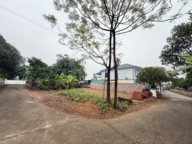 Bất động sản tại Phú Thọ - ảnh 1