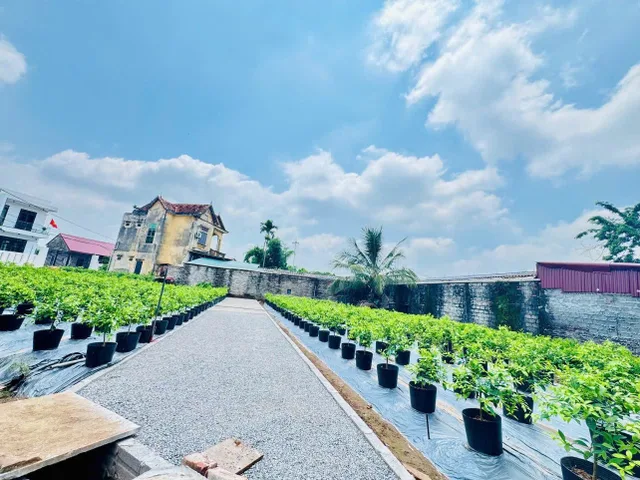 Bất động sản tại Hưng Yên - ảnh 1