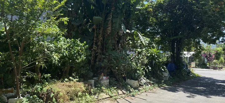 Bất động sản tại Đà Nẵng - ảnh 1