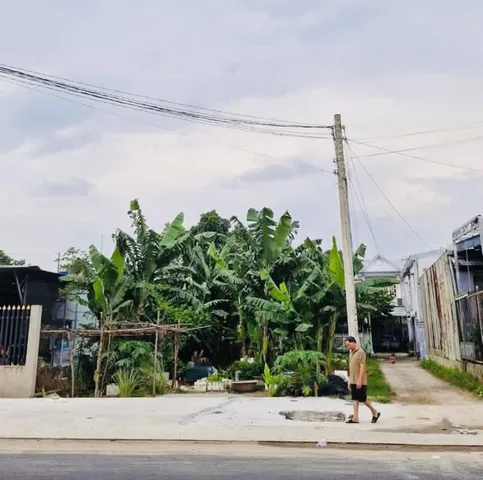 Bất động sản tại Bình Dương - ảnh 1