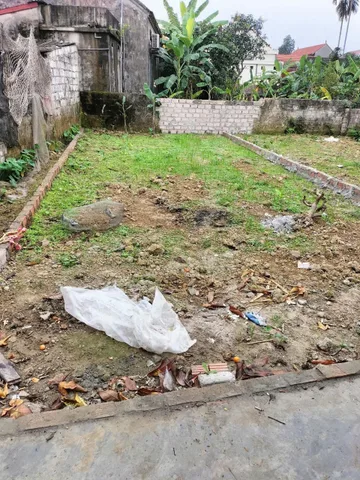 Bất động sản tại Hải Phòng - ảnh 1