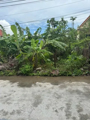 Bất động sản tại Hải Phòng - ảnh 1