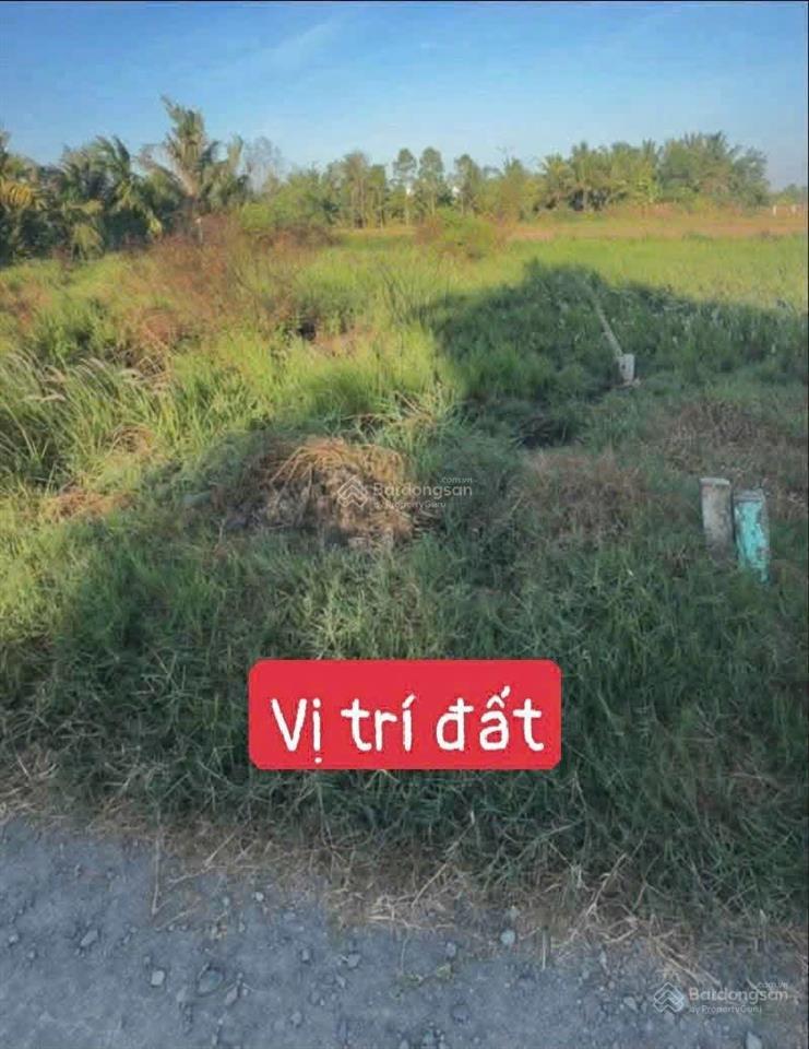 Bất động sản tại Long An - ảnh 1