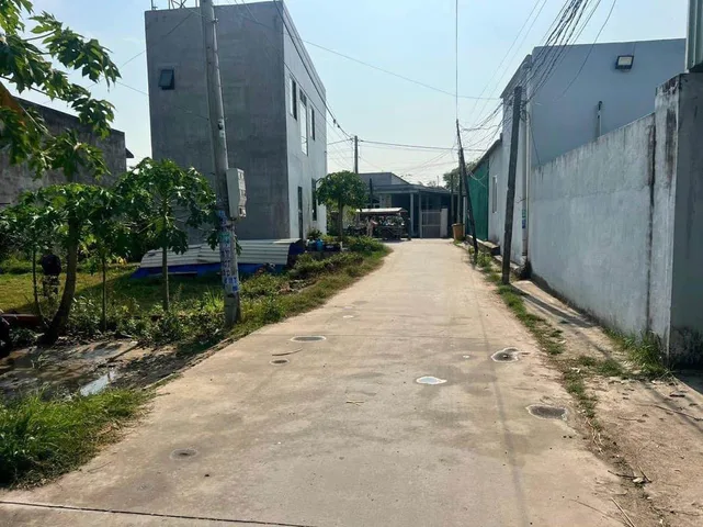 Bất động sản tại Long An - ảnh 1