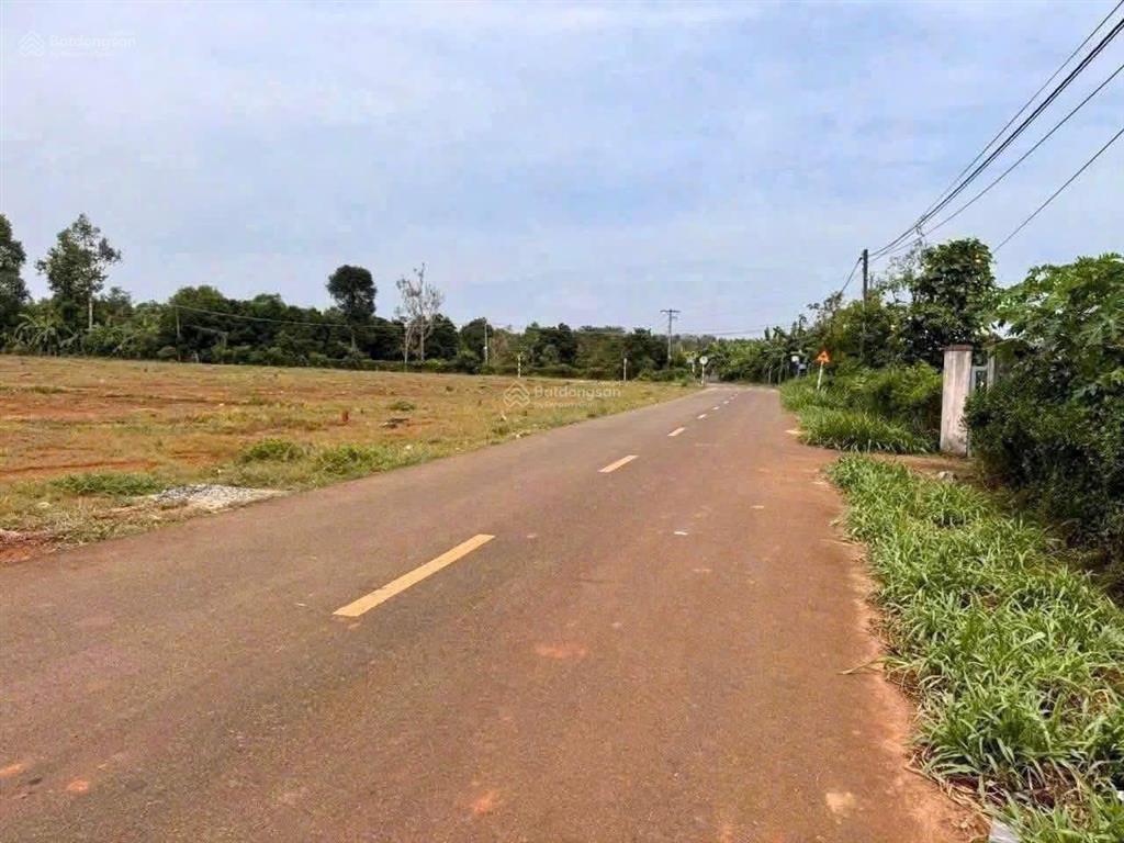 Bất động sản tại Bà Rịa - Vũng Tàu - ảnh 1