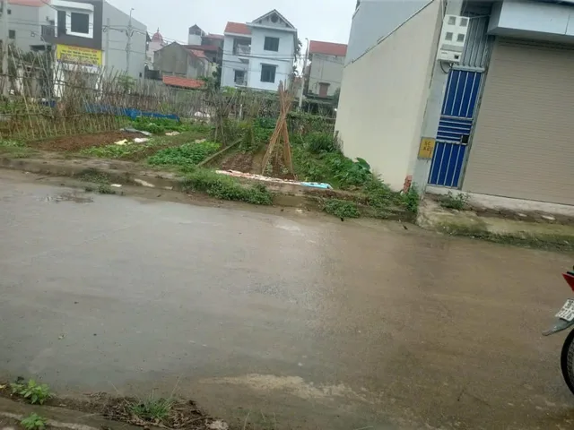 Bất động sản tại Phú Thọ - ảnh 1
