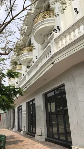 Bất động sản tại Long An - ảnh 1