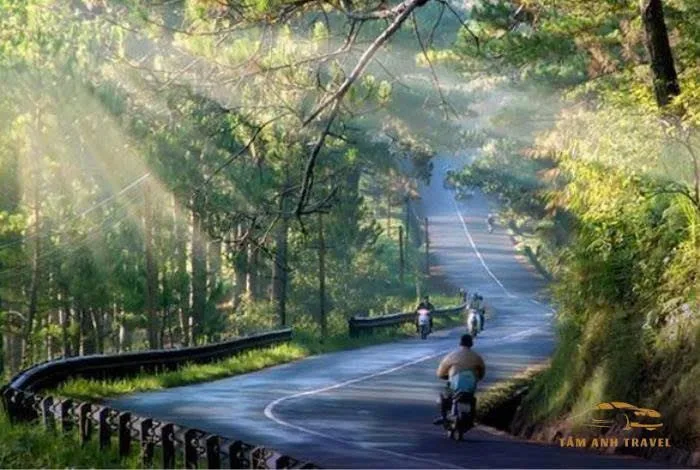 Bất động sản tại Lâm Đồng - ảnh 1