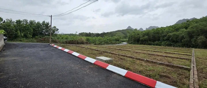 Bất động sản tại Phú Thọ - ảnh 1