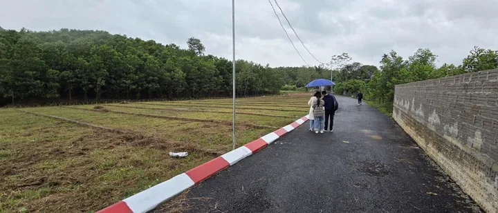 Bất động sản tại Phú Thọ - ảnh 1