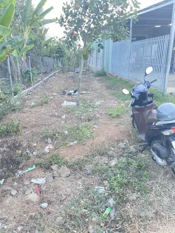 Bất động sản tại Bà Rịa - Vũng Tàu - ảnh 1
