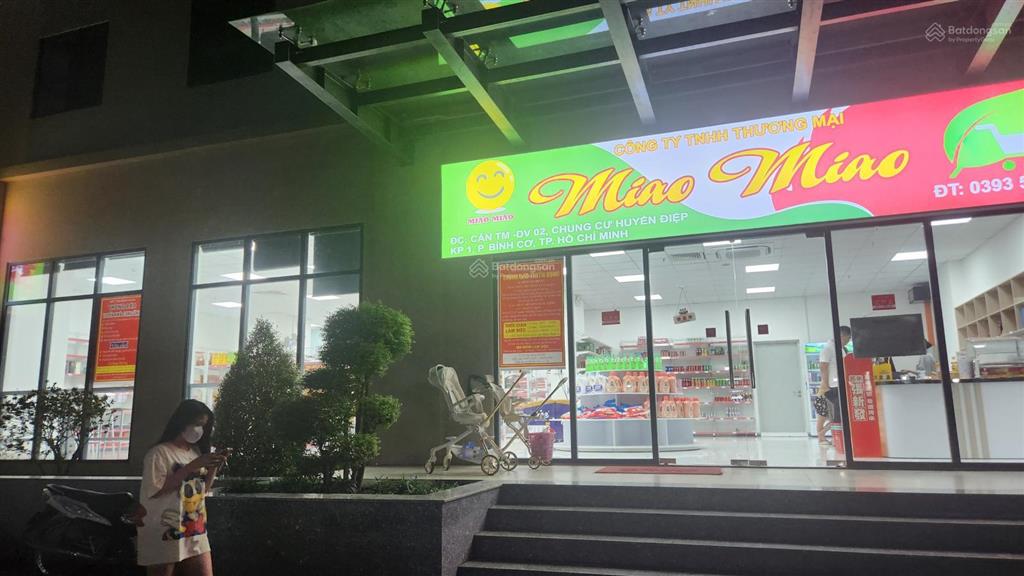 Bất động sản tại Bình Dương - ảnh 1