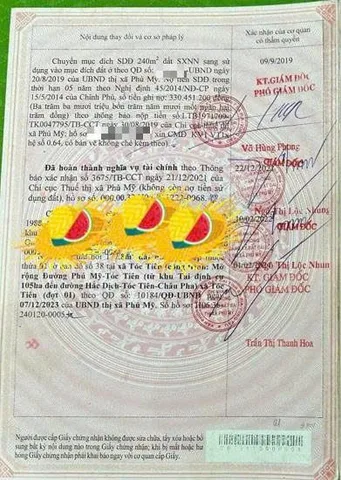 Bất động sản tại Bà Rịa - Vũng Tàu - ảnh 1