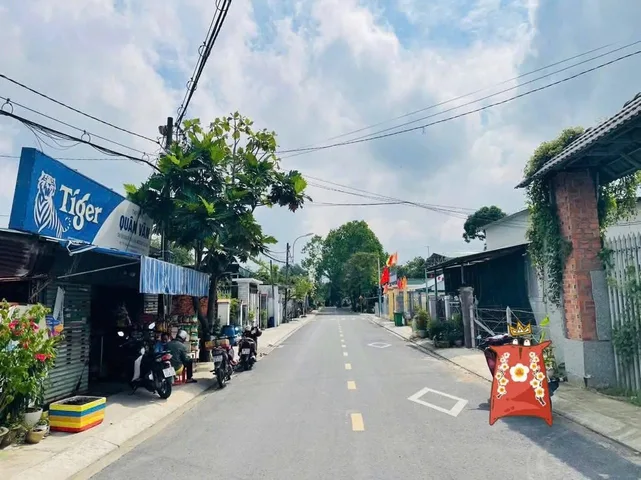 Bất động sản tại Bình Dương - ảnh 1