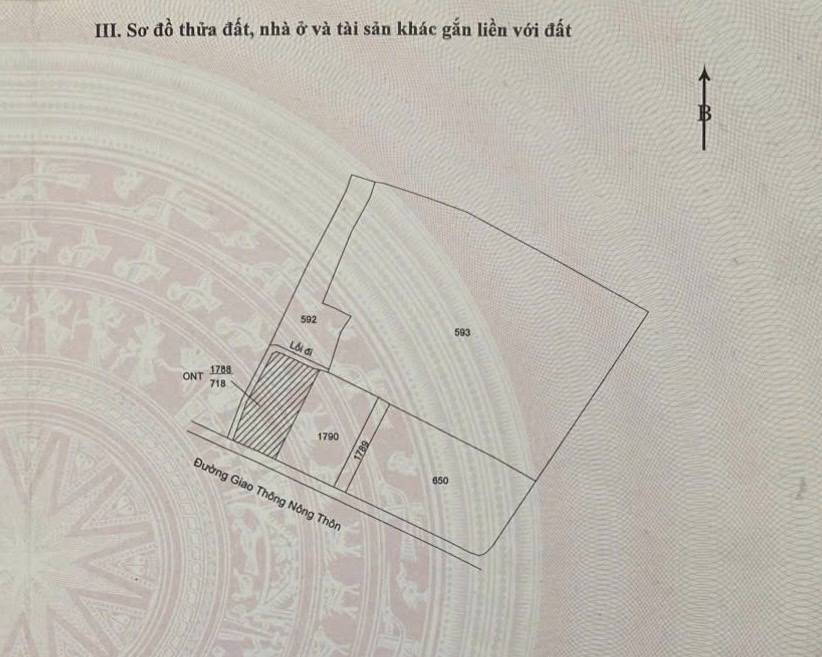 Bất động sản tại Long An - ảnh 1