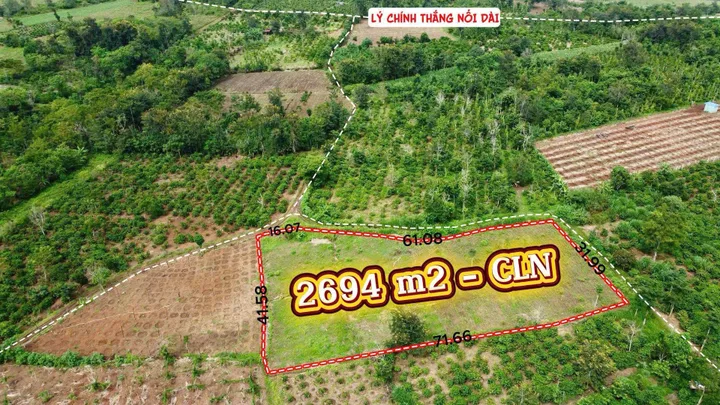 Bất động sản tại Đắk Lắk - ảnh 1