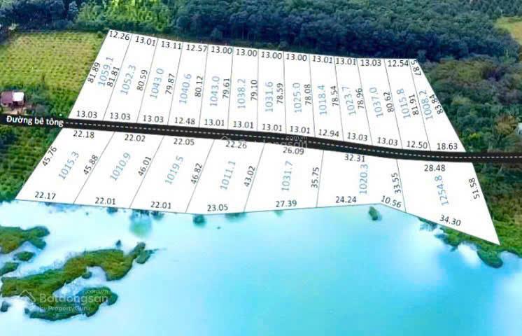 Bất động sản tại Đắk Nông - ảnh 1