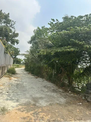 Bất động sản tại Bình Dương - ảnh 1