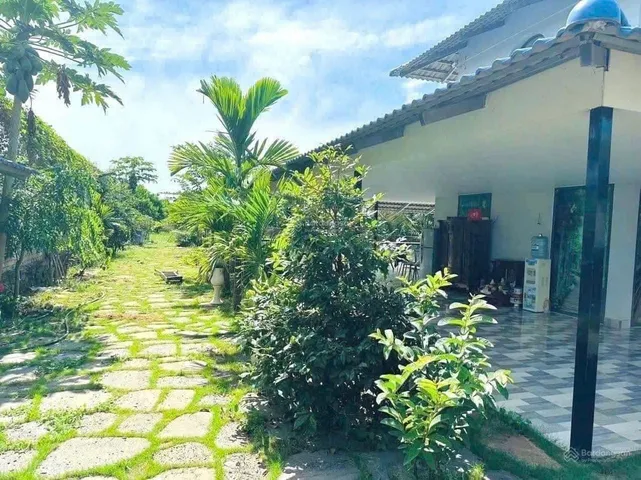 Bất động sản tại Bình Dương - ảnh 1