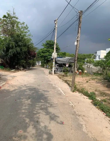 Bất động sản tại Bình Dương - ảnh 1