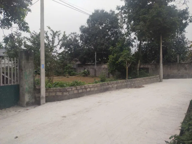 Bất động sản tại Phú Thọ - ảnh 1