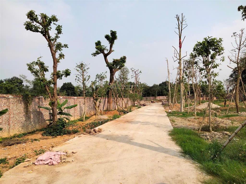 Bất động sản tại Hòa Bình - ảnh 1