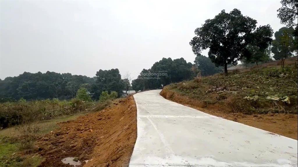Bất động sản tại Hòa Bình - ảnh 1
