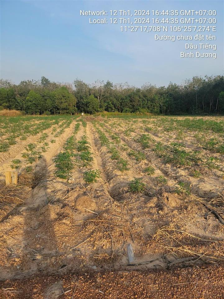 Bất động sản tại Bình Dương - ảnh 1