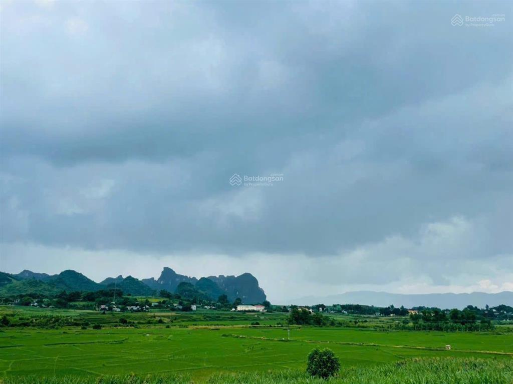 Bất động sản tại Hòa Bình - ảnh 1
