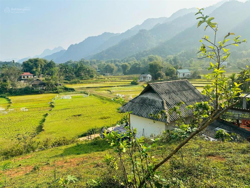 Bất động sản tại Hòa Bình - ảnh 1