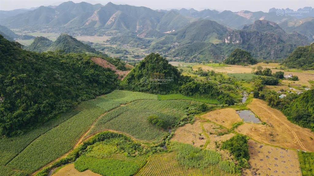 Bất động sản tại Hòa Bình - ảnh 1