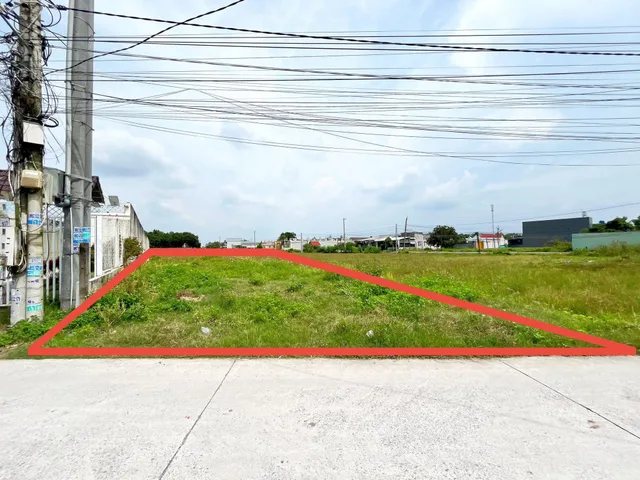 Bất động sản tại Long An - ảnh 1