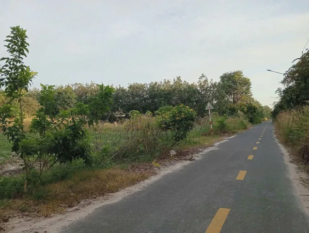 Bất động sản tại Bình Dương - ảnh 1
