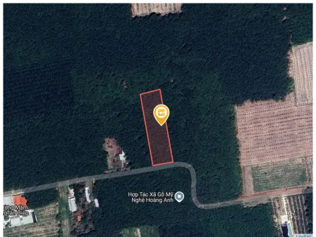 Bất động sản tại Bình Dương - ảnh 1