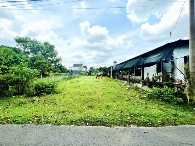 Bất động sản tại Tây Ninh - ảnh 1