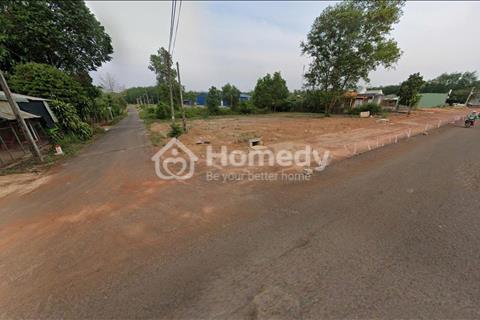 Bất động sản tại Long An - ảnh 1