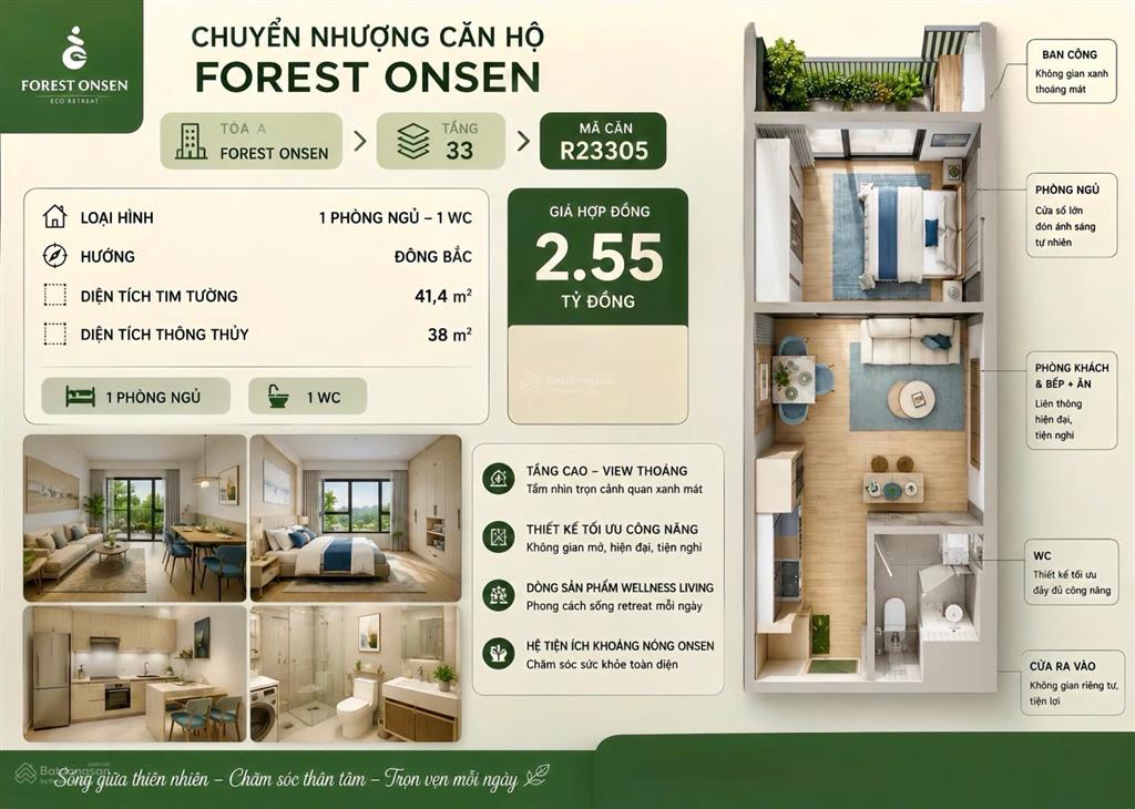 Bất động sản tại Long An - ảnh 1