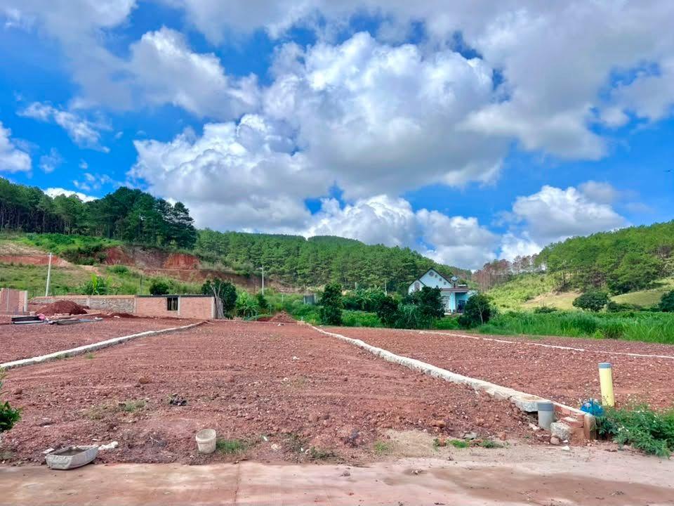 Bất động sản tại Lâm Đồng - ảnh 1