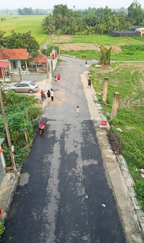Bất động sản tại TP. Hồ Chí Minh - ảnh 3