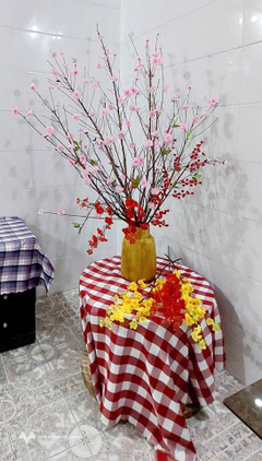 Bất động sản tại Lâm Đồng - ảnh 1
