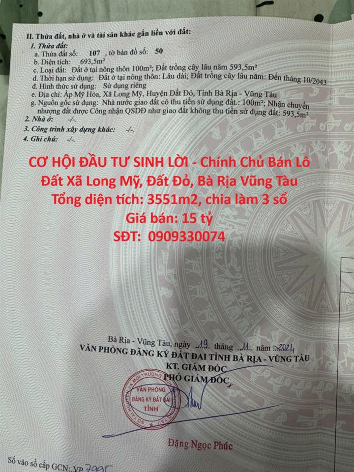 Bất động sản tại Bà Rịa - Vũng Tàu - ảnh 1