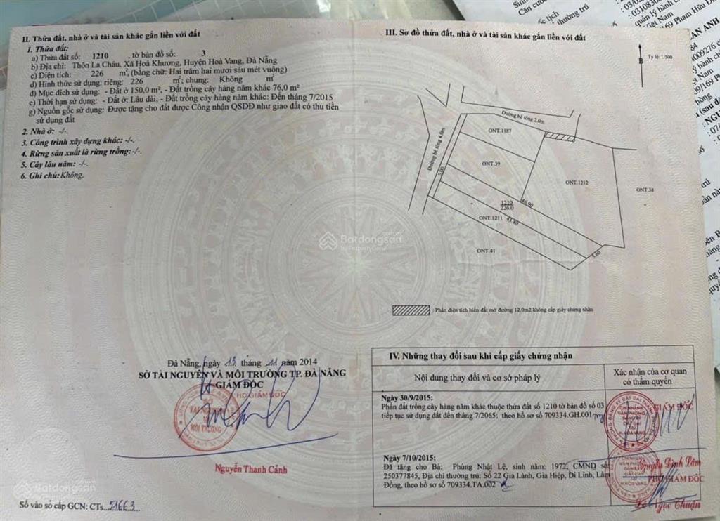 Bất động sản tại Đà Nẵng - ảnh 1