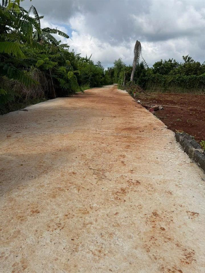 Bất động sản tại Bà Rịa - Vũng Tàu - ảnh 1