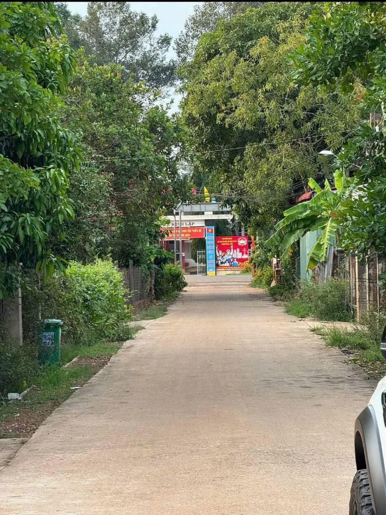 Bất động sản tại Bình Dương - ảnh 1